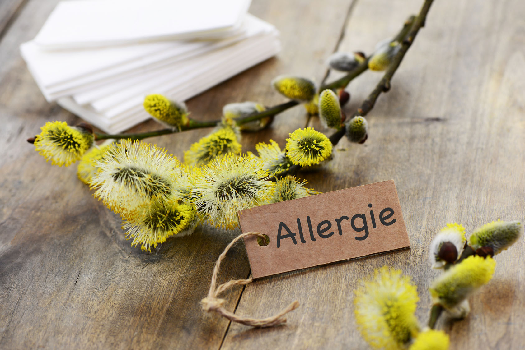 No al depotenziamento del Centro di Allergologia di Padova.